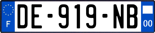 DE-919-NB