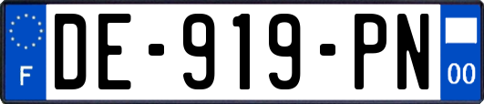 DE-919-PN