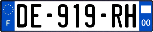 DE-919-RH