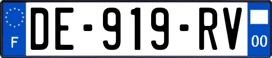DE-919-RV