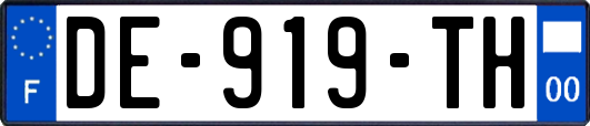 DE-919-TH