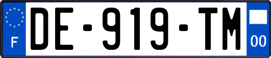 DE-919-TM