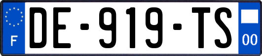 DE-919-TS