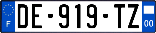 DE-919-TZ