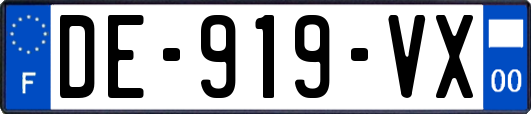 DE-919-VX