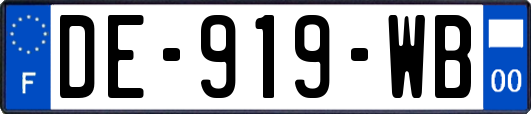 DE-919-WB