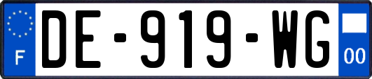 DE-919-WG