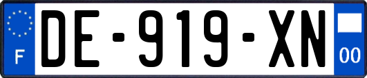 DE-919-XN