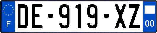 DE-919-XZ