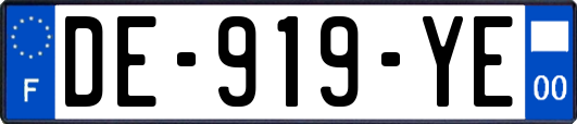 DE-919-YE