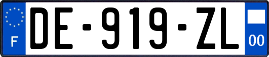 DE-919-ZL