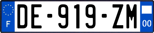 DE-919-ZM