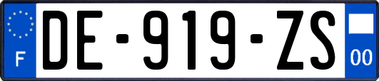 DE-919-ZS