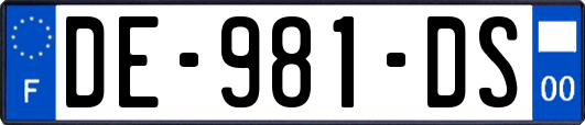 DE-981-DS