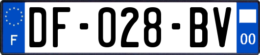 DF-028-BV