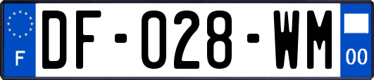 DF-028-WM