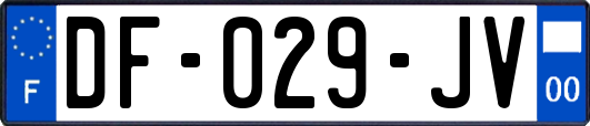 DF-029-JV