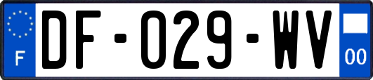 DF-029-WV