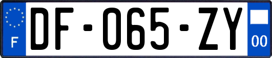 DF-065-ZY