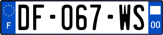 DF-067-WS