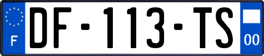 DF-113-TS