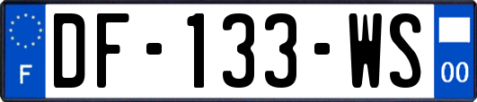 DF-133-WS