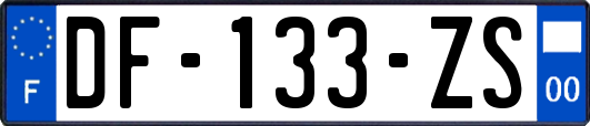 DF-133-ZS