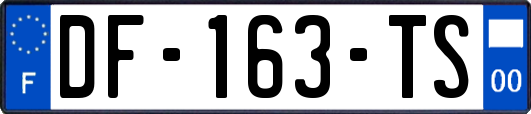 DF-163-TS