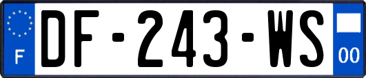 DF-243-WS