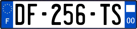 DF-256-TS