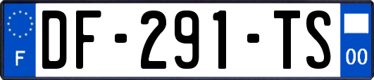 DF-291-TS