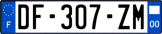 DF-307-ZM