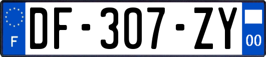 DF-307-ZY