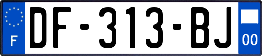 DF-313-BJ