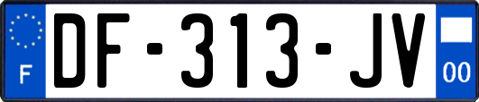 DF-313-JV