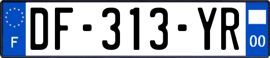 DF-313-YR