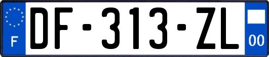 DF-313-ZL