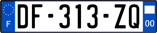 DF-313-ZQ