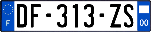 DF-313-ZS