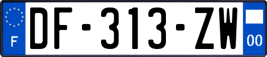 DF-313-ZW