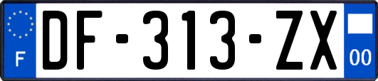 DF-313-ZX