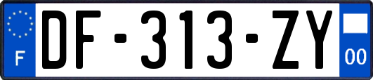 DF-313-ZY