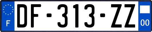 DF-313-ZZ