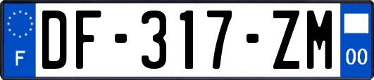 DF-317-ZM