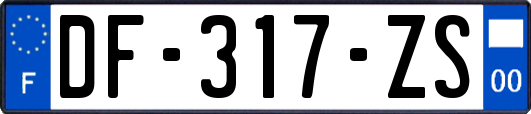 DF-317-ZS