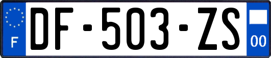 DF-503-ZS