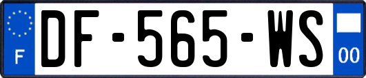 DF-565-WS