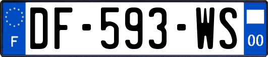 DF-593-WS