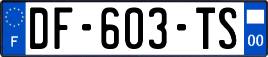 DF-603-TS