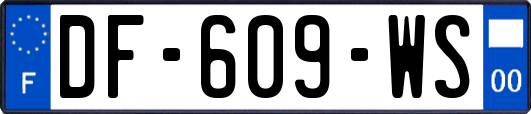 DF-609-WS